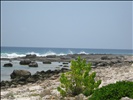 Beach on Little Cayman Island